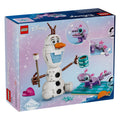 LEGO Disney Princess Olaf and Bruni's Picnic Fun