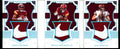 2022 Panini National Treasures Jahan Dotson/Brian Robinson Jr./Sam Howell Triple Nike Swoosh Patch Booklet 1/1 Commanders