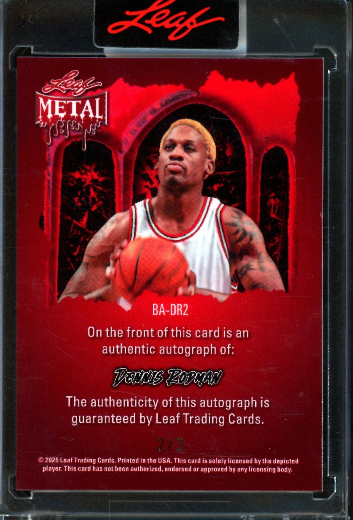 2025/26 Leaf Metal Dennis Rodman Spiderweb Autograph /3 Bulls