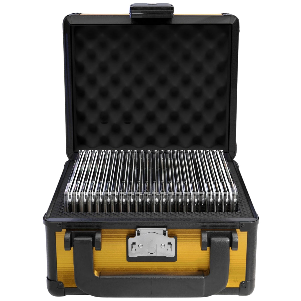 Zion Gold Slab Case Go